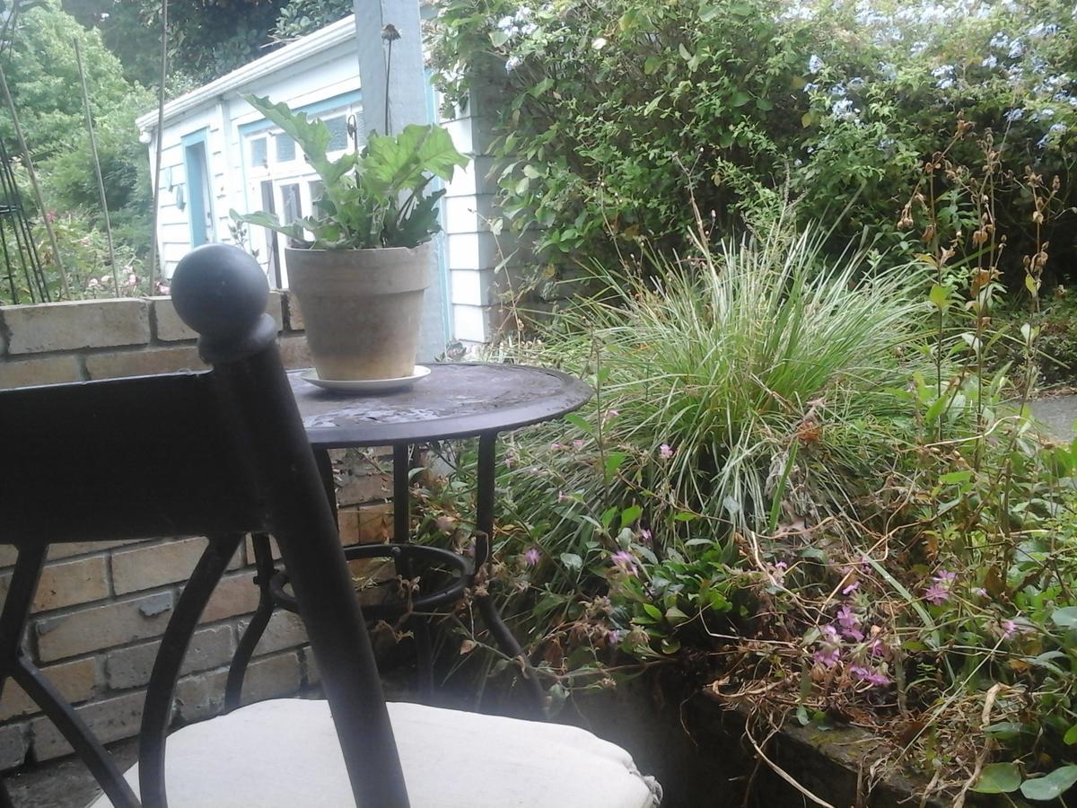 The Old Post Office Guesthouse B&B Paparoa 외부 사진