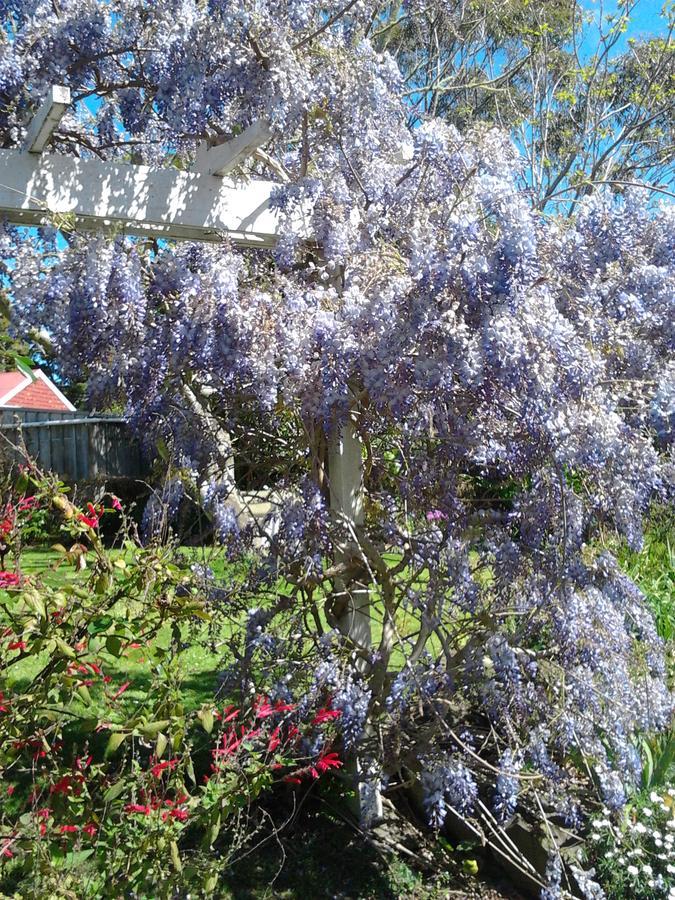 The Old Post Office Guesthouse B&B Paparoa 외부 사진
